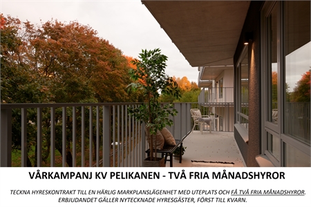 Image missing alt text