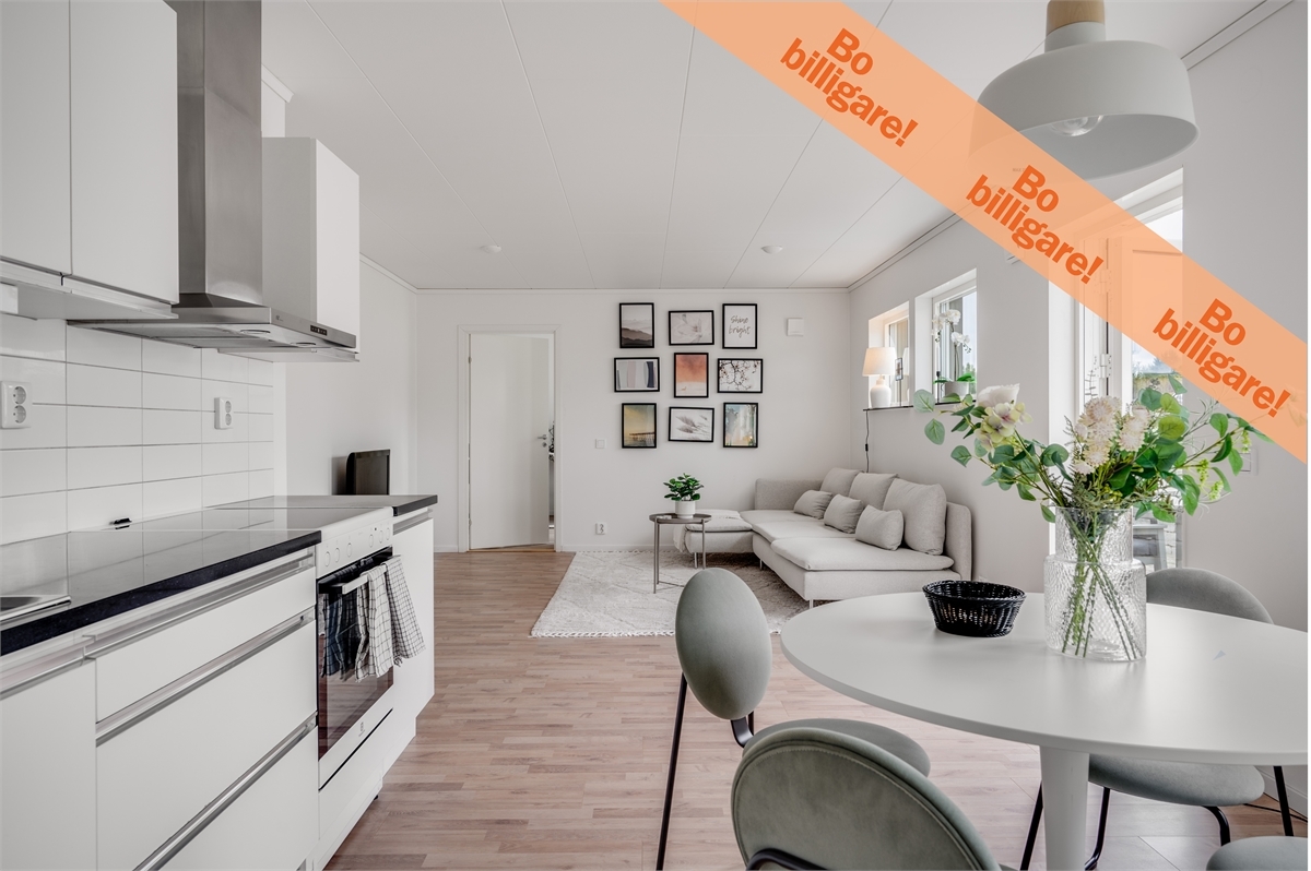 /Global/DisplayMultimediaDescription.ashx?guid=d08cf9b2-ec82-4ecd-8322-8da47c9743e4