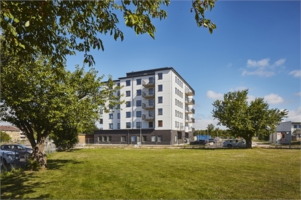 Skolg 20 B